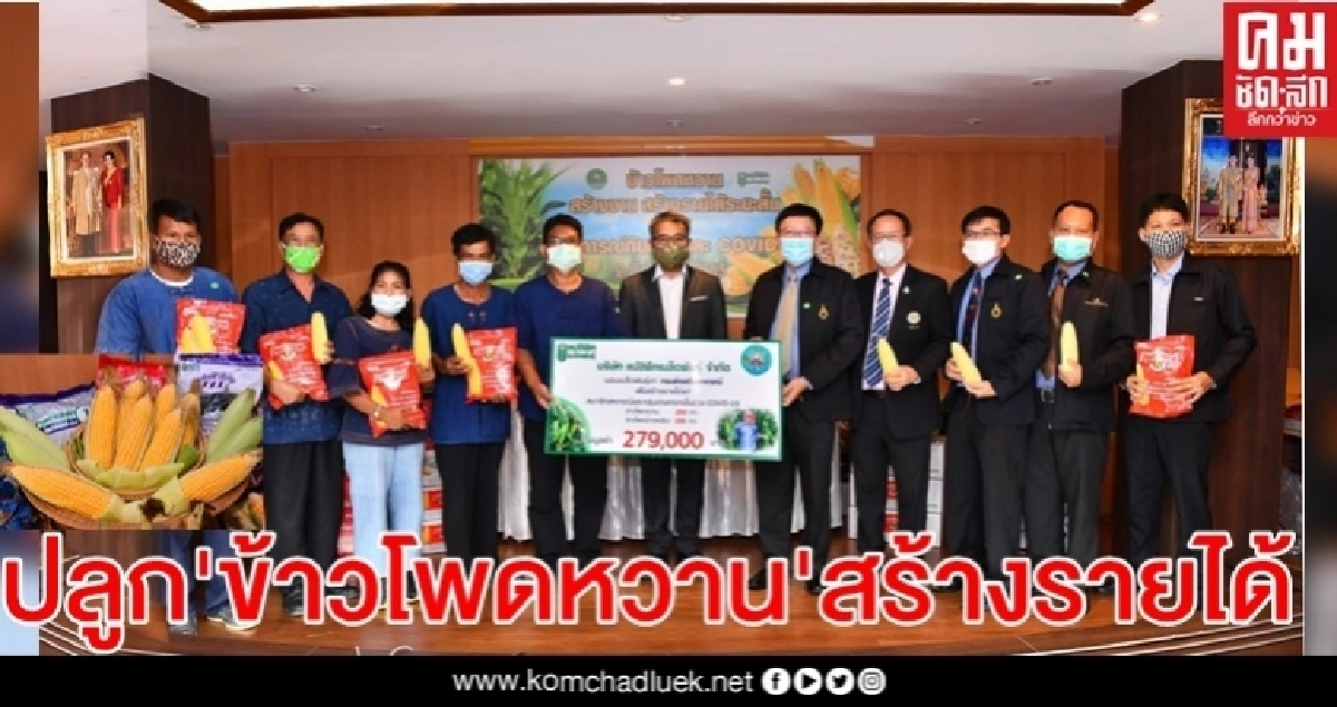 กรมส่งเสริมสหกรณ์ฯจับมือเอกชนปลูกข้าวโพดหวาน สร้างรายได้ให้สมาชิกฯ กรมส่งเสริมสหกรณ์ฯจับมือเอกชนปลูกข้าวโพดหวาน สร้างรายได้ให้สมาชิกฯ