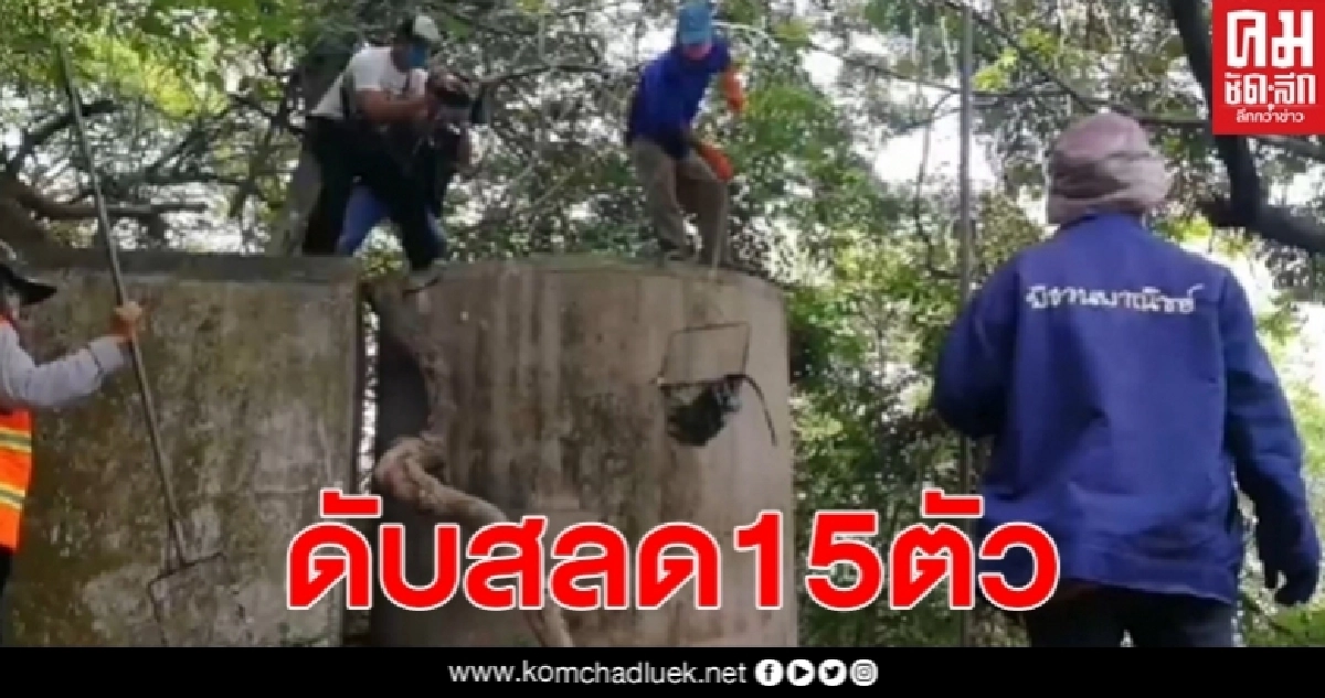 ฝูงลิงเขาตังกวนตกลงไปดับในแทงค์น้ำบนยอดเขา15ตัว คาดลงไปกินน้ำขึ้นมาไม่ได้