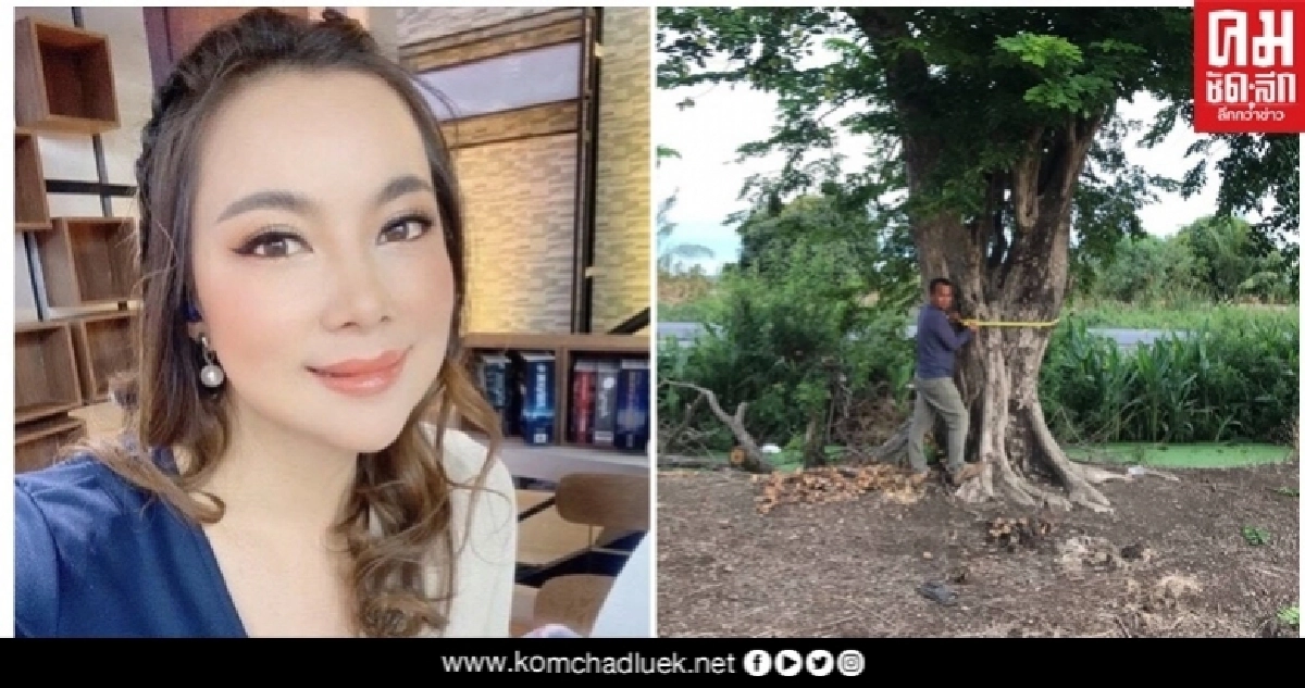 'บุ๋ม ปนัดดา' ร่วมบุญ ไฮโซผิง-อ้วน ไถ่ชีวิตต้นไม้ 'บุ๋ม ปนัดดา' ร่วมบุญ ไฮโซผิง-อ้วน ไถ่ชีวิตต้นไม้