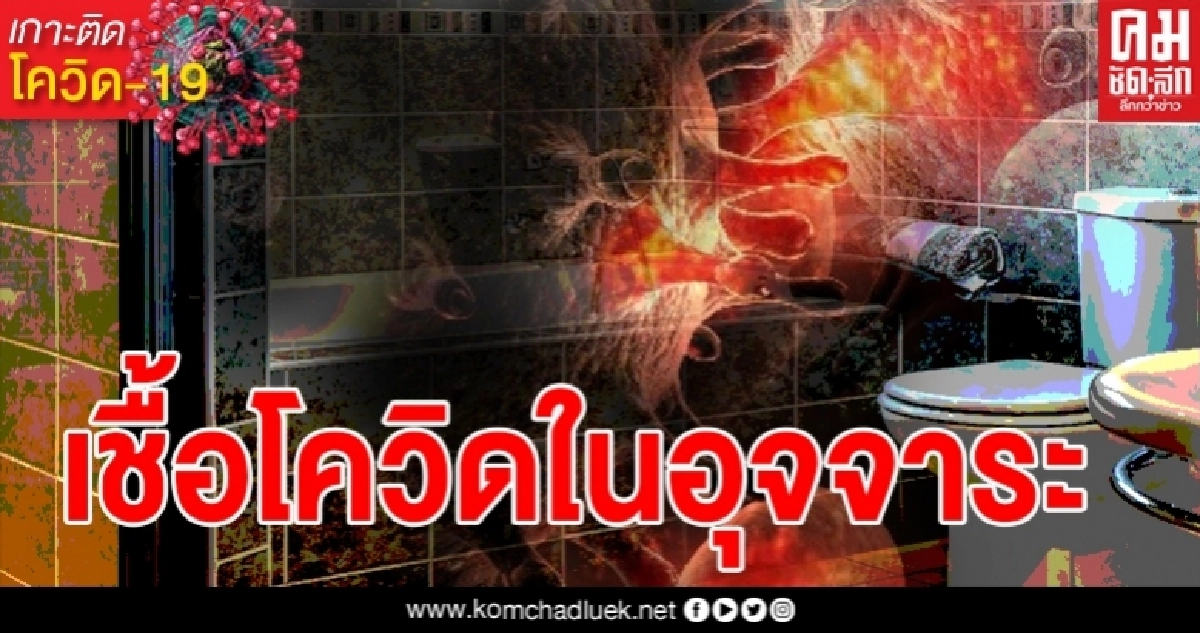 ตกใจหนักมาก เมื่อนักวิจัยนำอุจจาระของผู้ติดเชื้อโควิดมาเพาะ เจอเชื้อโควิดอยู่ในอุจจาระ