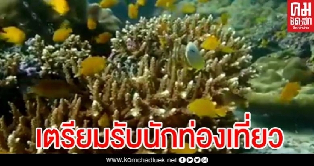 ธรรมชาติได้ฟื้นฟู เตรียมรับนักท่องเที่ยว หลังงดเที่ยวช่วงโควิดกว่า 2 เดือน