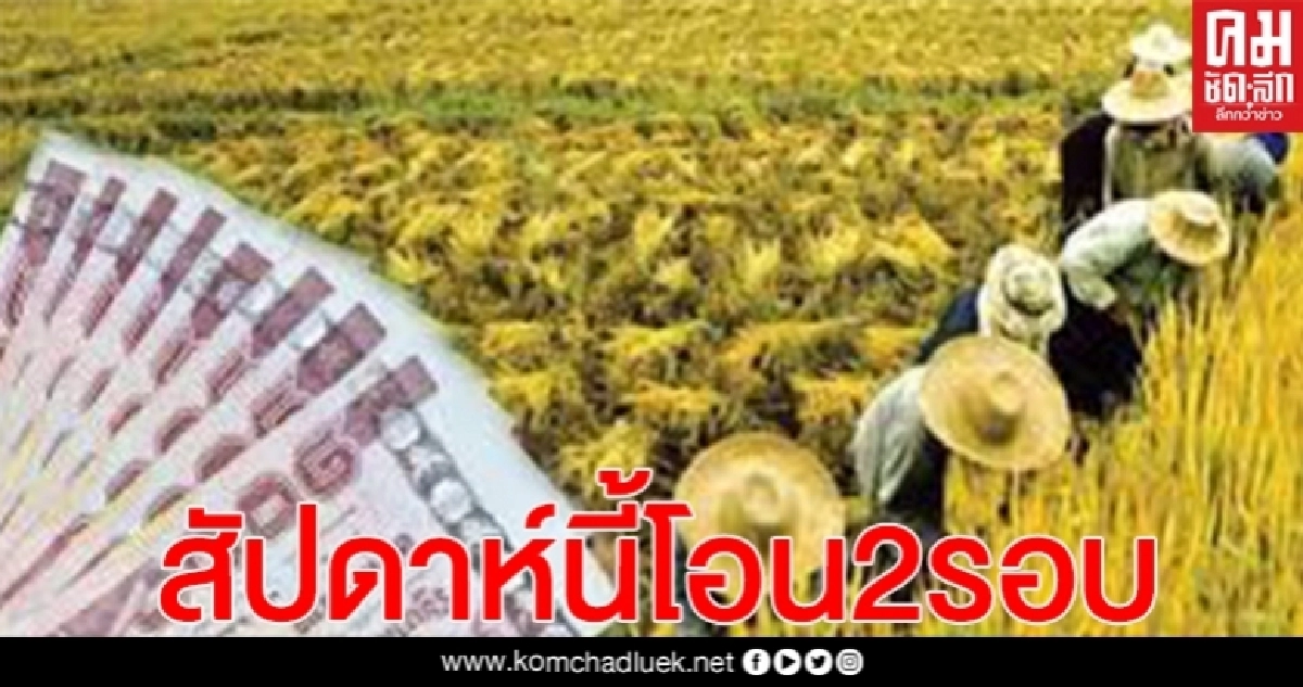 "เช็กเงินเยียวยาเกษตรกร" ที่ยังไม่ได้รับโอนเงินวันที่ 8 มิ.ย สัปดาห์นี้ ธ.ก.ส.เตรียมโอนให้อีก 2 รอบ