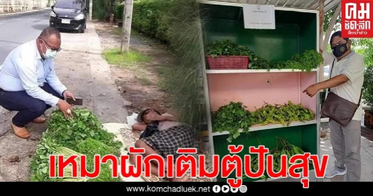 โชเชียลแห่ชื่นชม "นายก ต.ฉลอง" เหมาผักเติมตู้ปันสุข โชเชียลแห่ชื่นชม "นายก ต.ฉลอง" เหมาผักเติมตู้ปันสุข