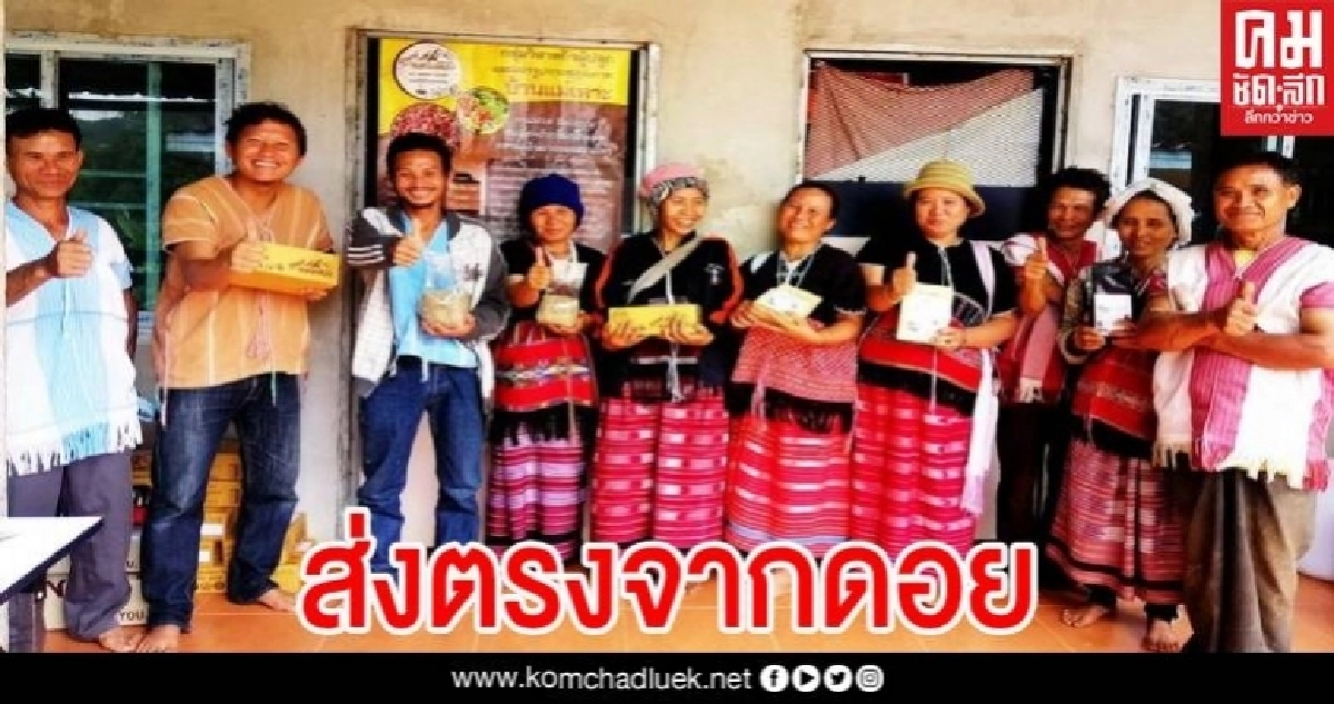 "ผูกปิ่นโตกาแฟรักษ์ป่า" ส่งตรงจากดอยถึงมือคุณ ช่วยกลุ่มผู้ผลิตและแปรรูปกาแฟหอมเหาะ