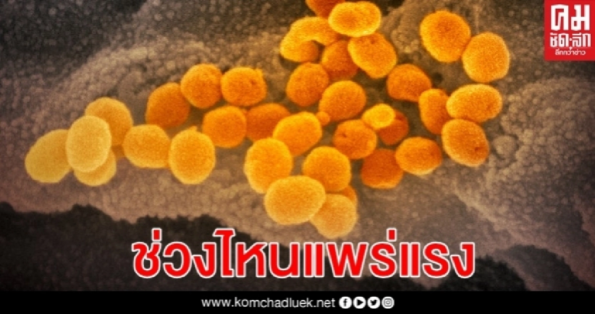 ผลศึกษาชี้ผู้ป่วยโควิด-19 แพร่เชื้อไวรัสมากที่สุดตั้งแต่เริ่มมีอาการ ผลศึกษาชี้ผู้ป่วยโควิด-19 แพร่เชื้อไวรัสมากที่สุดตั้งแต่เริ่มมีอาการ