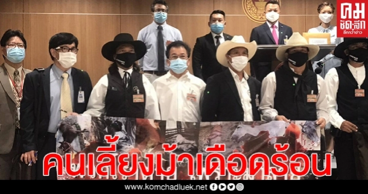 คนเลี้ยงม้าโอด ม้าตายจำนวนมาก เหตุโรคระบาดทำพิษ คนเลี้ยงม้าโอด ม้าตายจำนวนมาก เหตุโรคระบาดทำพิษ