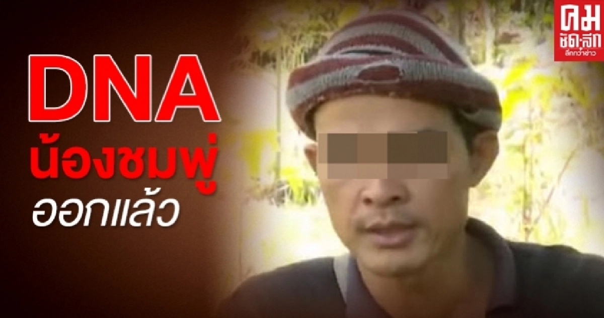 ผล DNA ข้างศพ "น้องชมพู่" ออกแล้ว  "ลุงพล" หวั่นเจอหมายจับ  วอนตำรวจอย่าจับแพะ