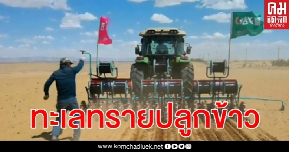 ปลูกข้าวในทะเลทราย คาดผลผลิตแตะ 1,000 กก.ต่อไร่ - กำไรสุทธิเกือบครึ่งแสน ปลูกข้าวในทะเลทราย คาดผลผลิตแตะ 1,000 กก.ต่อไร่ - กำไรสุทธิเกือบครึ่งแสน