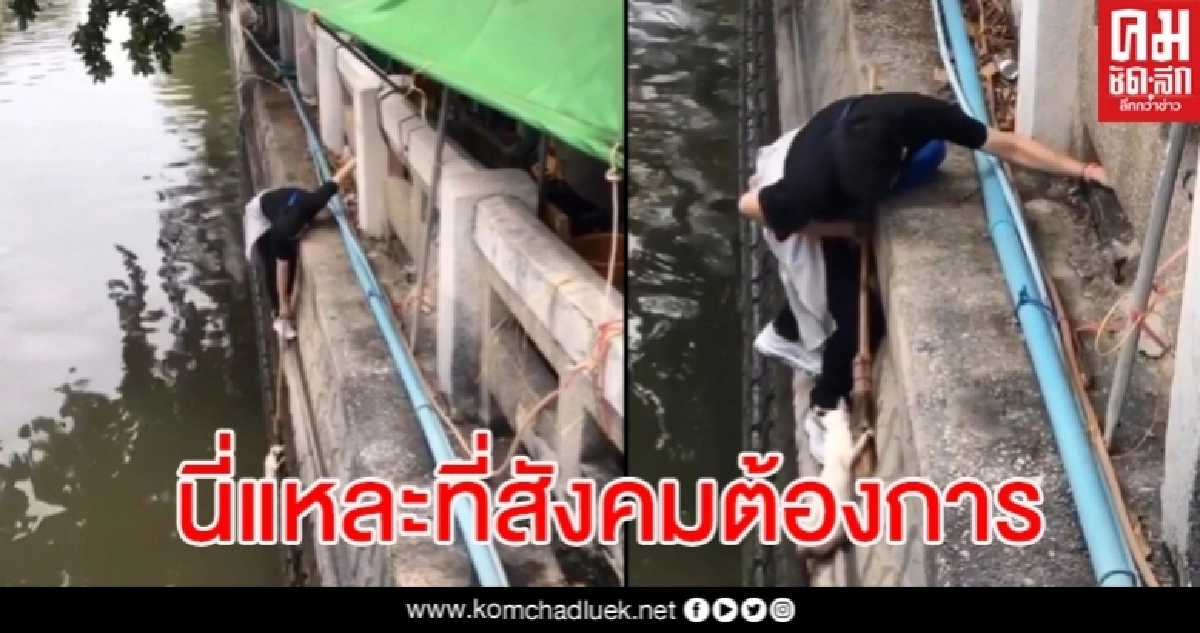 หนุ่มพลเมืองดีช่วยแมวจรจัดตกคลองอย่างทุลักทุเล โดนข่วนแต่ก็ยังช่วยต่อ หนุ่มพลเมืองดีช่วยแมวจรจัดตกคลองอย่างทุลักทุเล โดนข่วนแต่ก็ยังช่วยต่อ