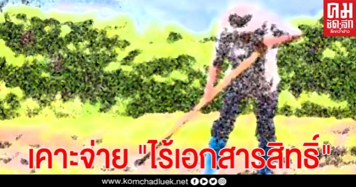 เตรียมเฮ! คกก.กลั่นกรองเงินกู้เคาะจ่าย "เยียวยาเกษตรกร" ไร้เอกสารสิทธิ์ ชงครม.16 มิ.ย. เตรียมเฮ! คกก.กลั่นกรองเงินกู้เคาะจ่าย "เยียวยาเกษตรกร" ไร้เอกสารสิทธิ์ ชงครม.16 มิ.ย.
