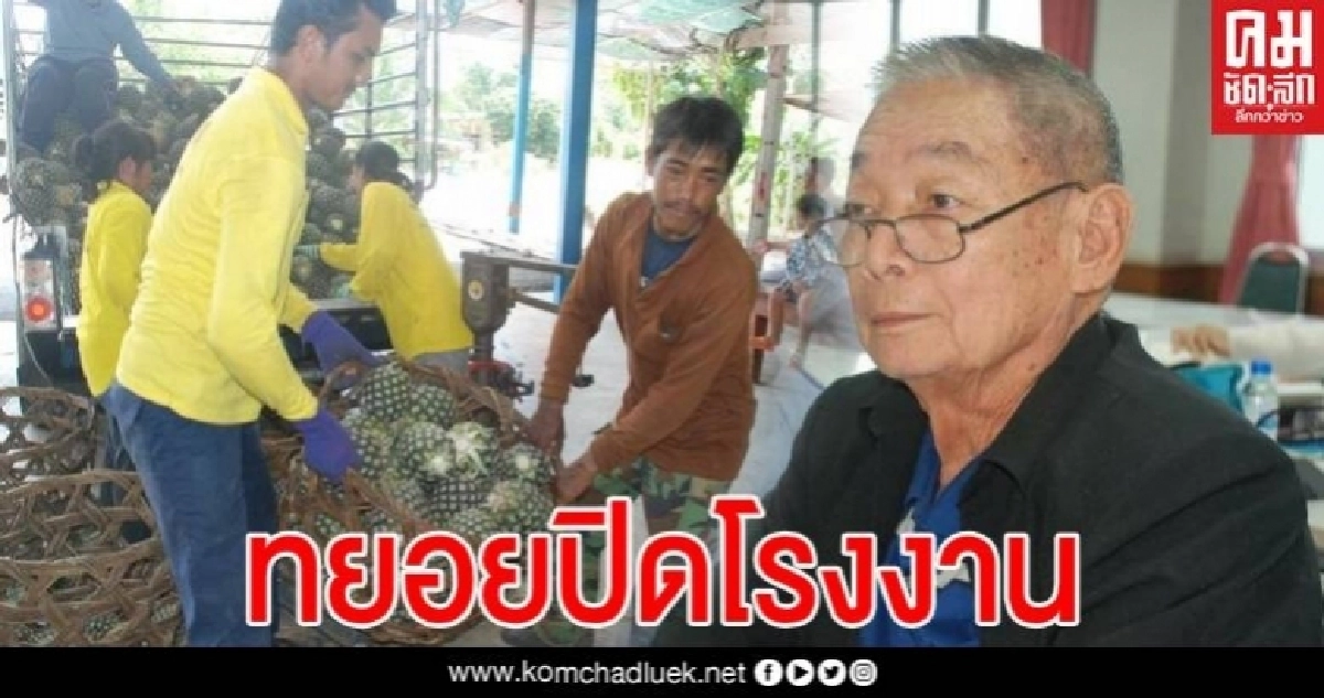 ทยอยปิดโรงงาน หลังแบกต้นทุนไม่ไหว สับปะรดราคาสูงเป็นประวัติการณ์