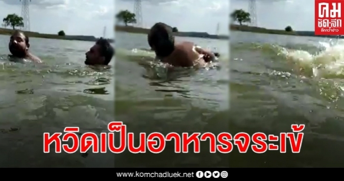 หนุ่มอินเดียเจอจระเข้กัดขาขณะเล่นน้ำ เพื่อนฮีโร่ว่ายตามไปช่วยด้วยไม้เซลฟี่