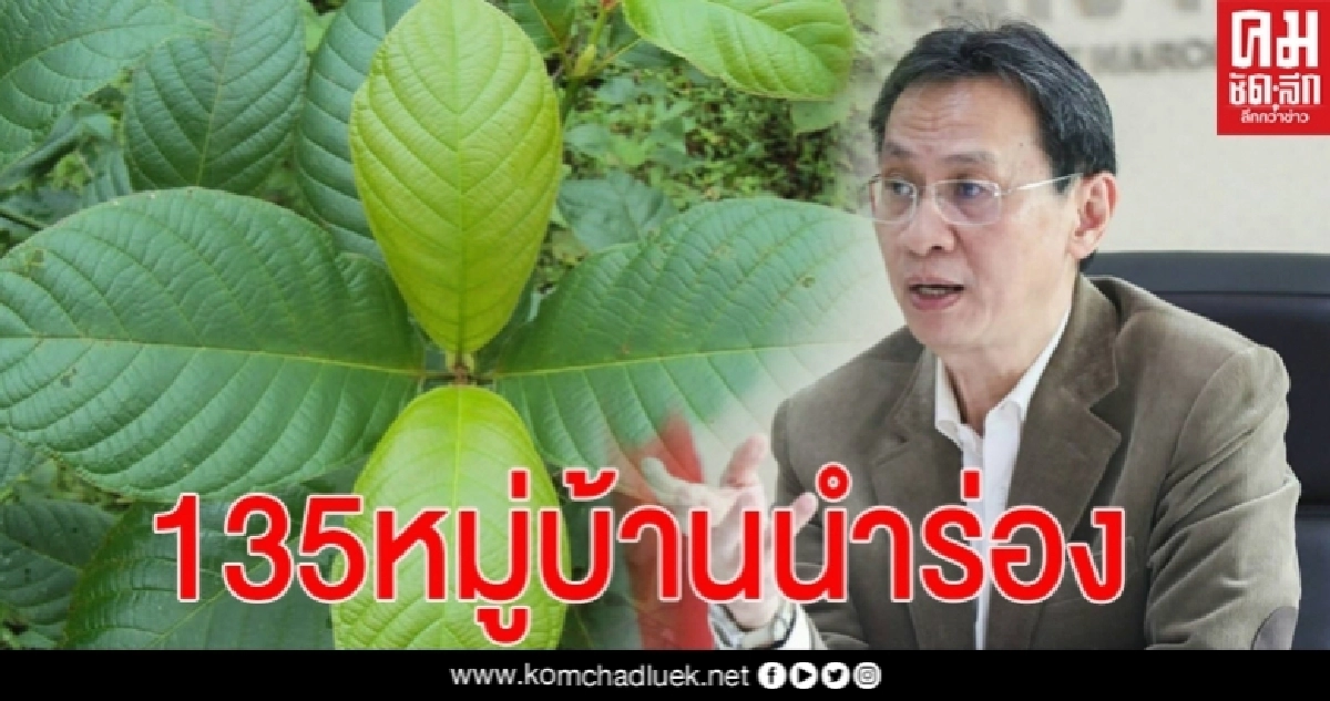 เลขาฯป.ป.ส. แจงกำหนดพื้นที่นำร่อง 135 หมู่บ้าน ครอบครอง "พืชกระท่อม" เลขาฯป.ป.ส. แจงกำหนดพื้นที่นำร่อง 135 หมู่บ้าน ครอบครอง "พืชกระท่อม"