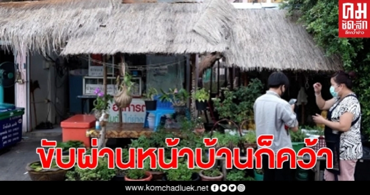 คนร้ายทำเนียน แอบขโมยต้นกระเพราไปกว่า 10 ครั้ง