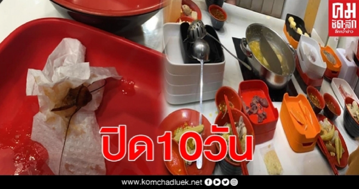 ร้านสุกี้ชื่อดัง เคลื่อนไหวแล้ว หลังลูกค้าเจอหัวแมลงสาบในน้ำจิ้ม ร้านสุกี้ชื่อดัง เคลื่อนไหวแล้ว หลังลูกค้าเจอหัวแมลงสาบในน้ำจิ้ม