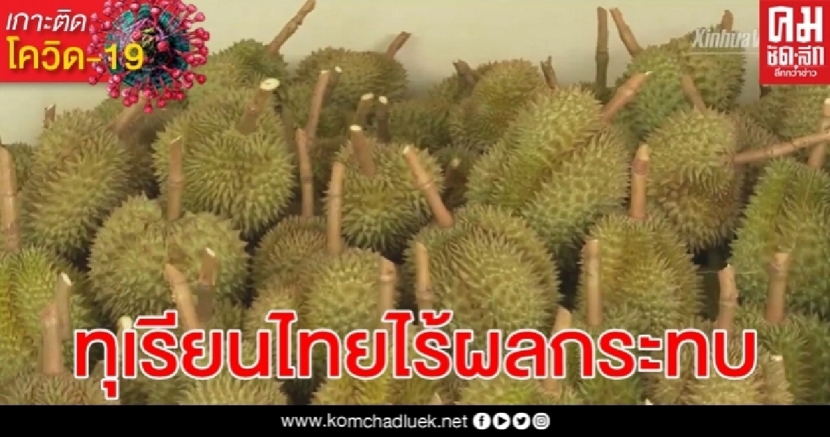 โควิด-19 ไร้พิษ ทุเรียนไทย เฮ อานิสงส์ตลาดจีนเฟื่องฟู เพิ่มขึ้นร้อยละ 78 โควิด-19 ไร้พิษ ทุเรียนไทย เฮ อานิสงส์ตลาดจีนเฟื่องฟู เพิ่มขึ้นร้อยละ 78