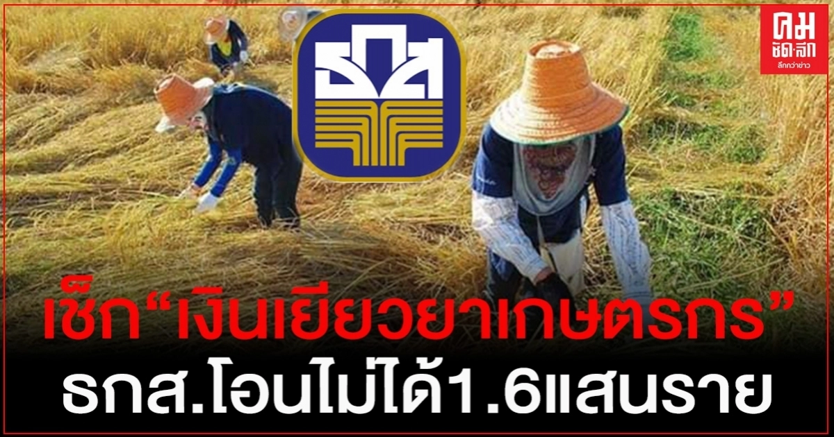เช็ก"เงินเยียวยาเกษตรกร" ธ.ก.ส.โอนเงินเยียวยาไม่ได้ 1.6 แสนราย
