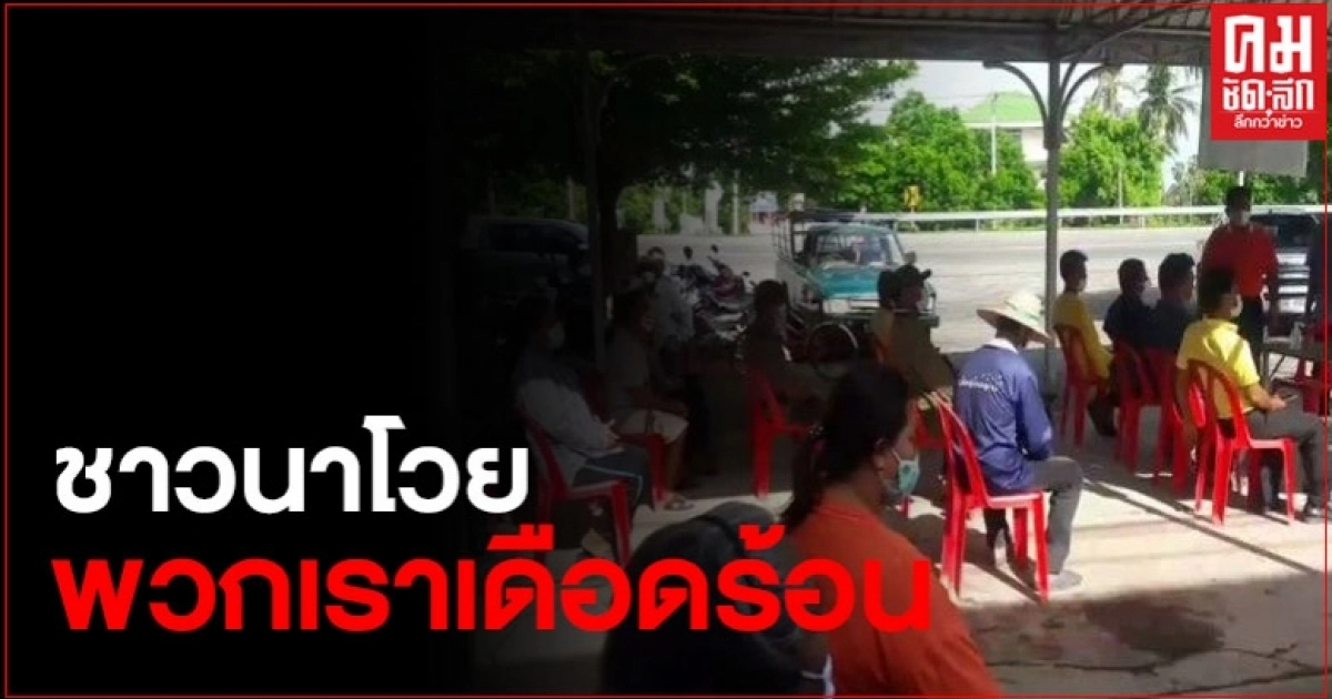 ชาวนาสุดทนโวยชลประทาน ปล่อยน้ำทำนาล่าช้า หวั่นเก็บเกี่ยวกลางน้ำ