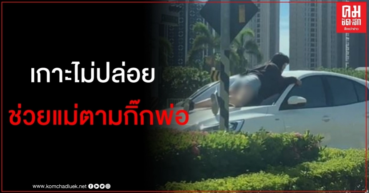 ลูกสาววัยรุ่นช่วยแม่ไล่ตามกิ๊กพ่อ กระโดดเกาะกระจกหน้ารถไม่ยอมปล่อย ลูกสาววัยรุ่นช่วยแม่ไล่ตามกิ๊กพ่อ กระโดดเกาะกระจกหน้ารถไม่ยอมปล่อย