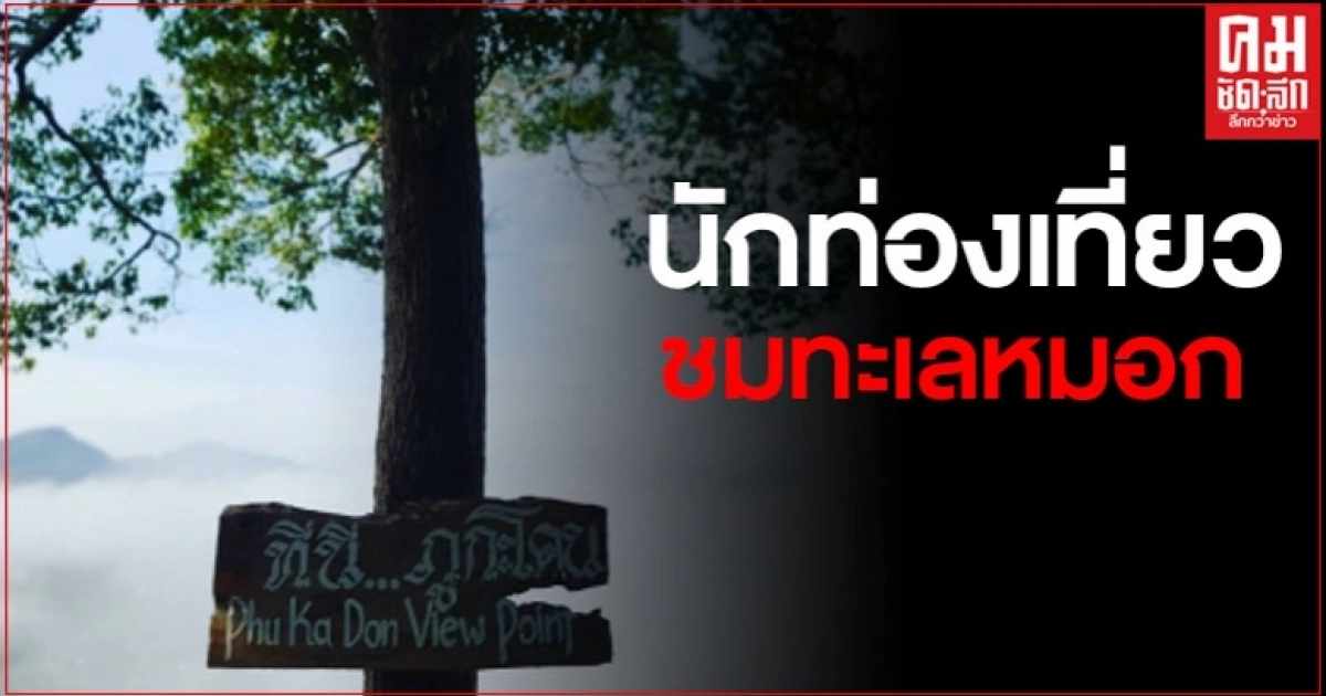 ภูกะโดนคึกคัก นักท่องเที่ยวขึ้นชมทะเลหมอกหลังปลดล็อก ท่องเที่ยววิถีใหม่ ภูกะโดนคึกคัก นักท่องเที่ยวขึ้นชมทะเลหมอกหลังปลดล็อก ท่องเที่ยววิถีใหม่