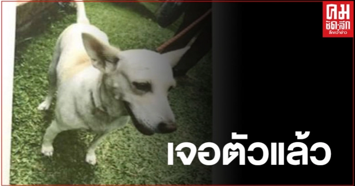 พบแล้ว "น้องหอมนวล" สุนัขทรงเลี้ยงของพระองค์เจ้าสิริภาจุฑาภรณ์ พบแล้ว "น้องหอมนวล" สุนัขทรงเลี้ยงของพระองค์เจ้าสิริภาจุฑาภรณ์