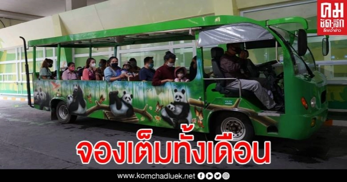 เต็มแล้ว ยอดจองชมฟรี สวนสัตว์เชียงใหม่ 15-30 มิ.ย.63 บรรยากาศสุดคึกคัก