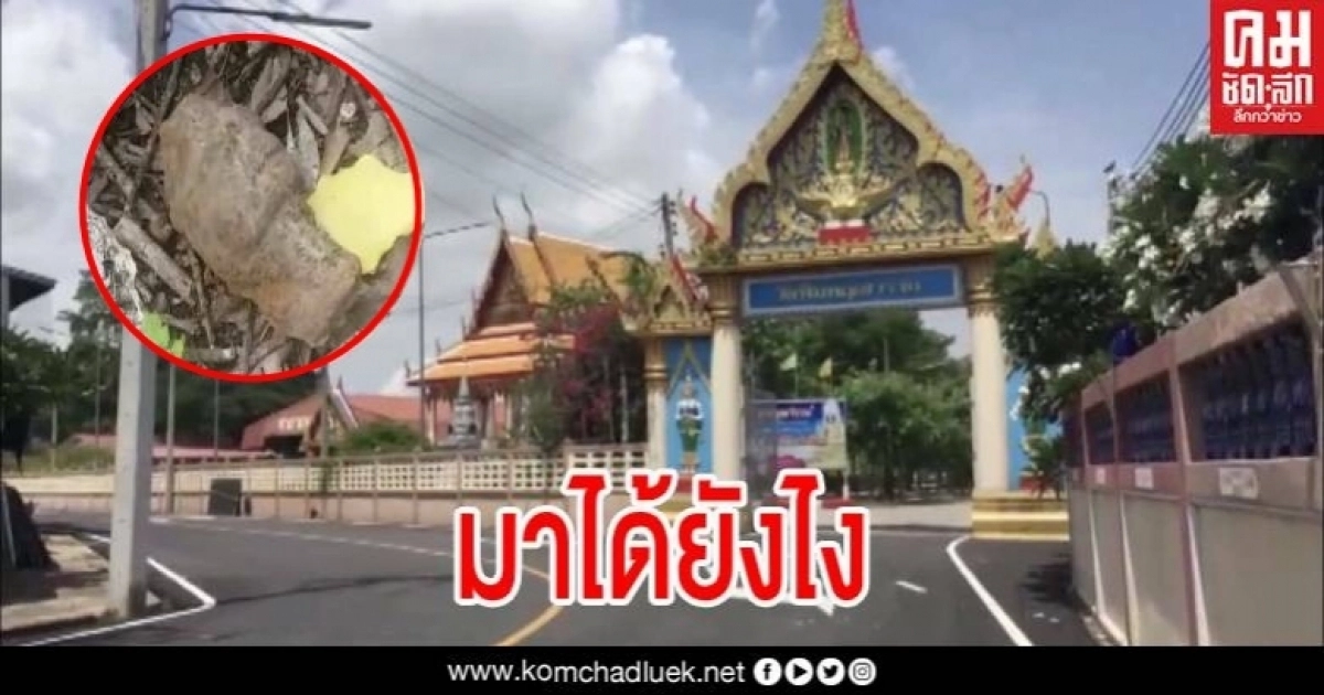 มาได้ไง "แตกตื่นทั้งวัด" หลังพบลูกระเบิดในกระถางต้นไม้