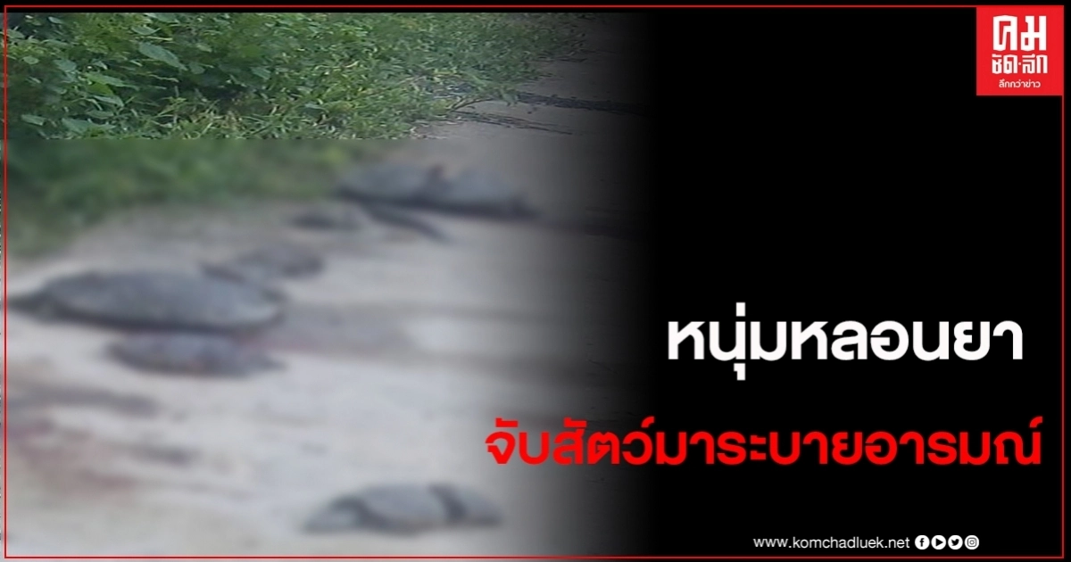 แสนสงสาร หนุ่มหลอนยา จับสัตว์ตัวเล็กตัวน้อย มาทำร้ายพบซากเกลื่อนบ้าน แสนสงสาร หนุ่มหลอนยา จับสัตว์ตัวเล็กตัวน้อย มาทำร้ายพบซากเกลื่อนบ้าน