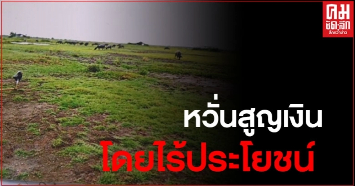 ตัวแทนผู้เลี้ยงควาย อ.ระโนด ขอให้กรมปศุสัตว์ทบทวนการขุดศูนย์อพยพกระบือ ตัวแทนผู้เลี้ยงควาย อ.ระโนด ขอให้กรมปศุสัตว์ทบทวนการขุดศูนย์อพยพกระบือ