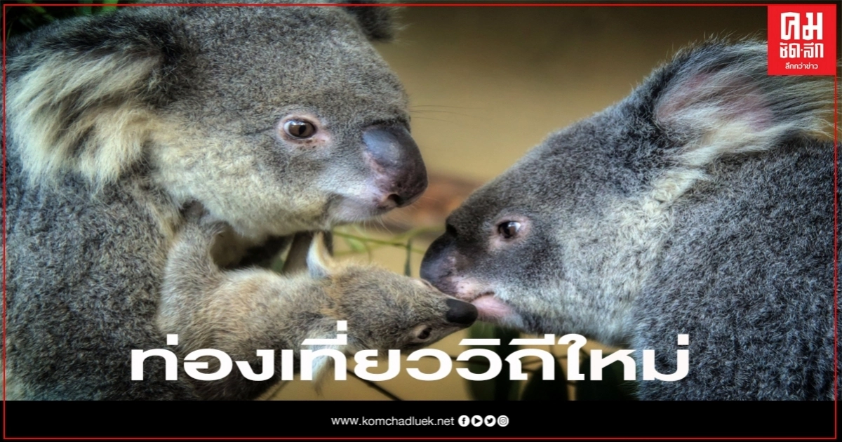 สวนสัตว์เชียงใหม่ คืนความสุขให้คนในชาติ เที่ยว วิถีใหม่' ปลอดภัยทุกชีวิต"ทั้งคนและสัตว์"