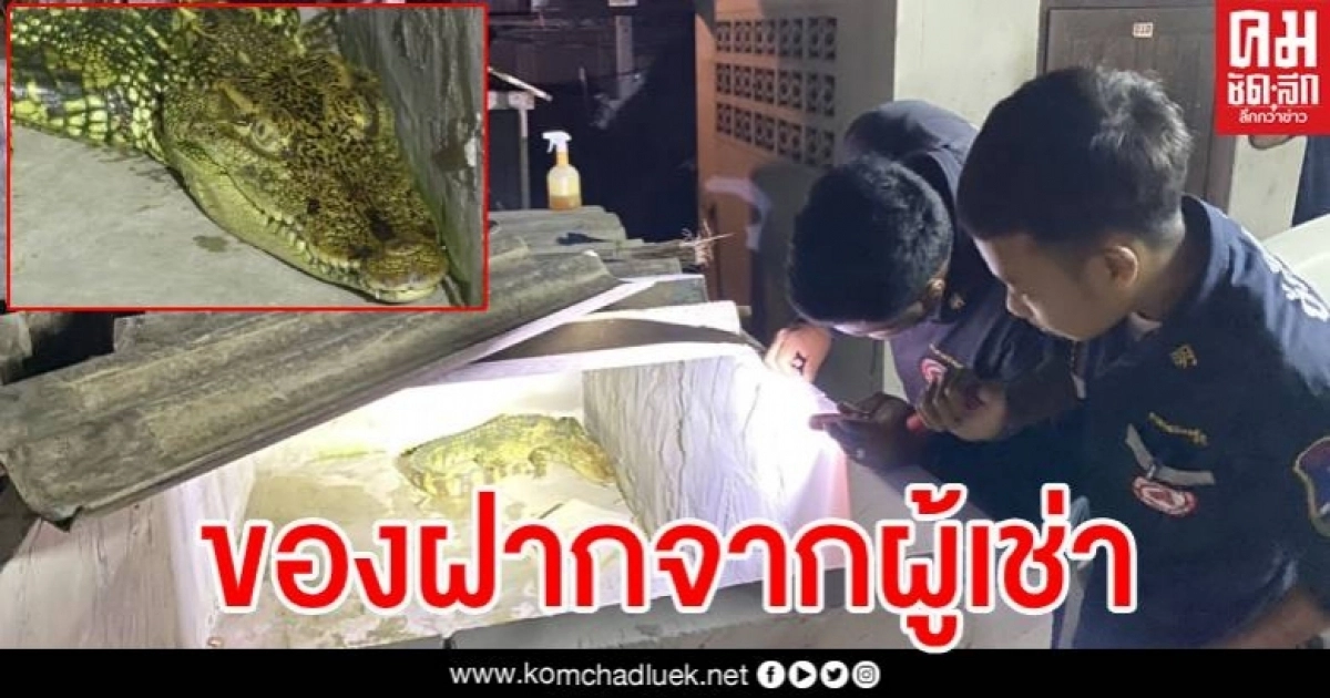 เจ้าของห้องเช่าผงะ เมื่อเจอของฝาก ตัวเป็นๆ ยาว1.5 เมตร จากผู้เช่าหลังย้ายออก