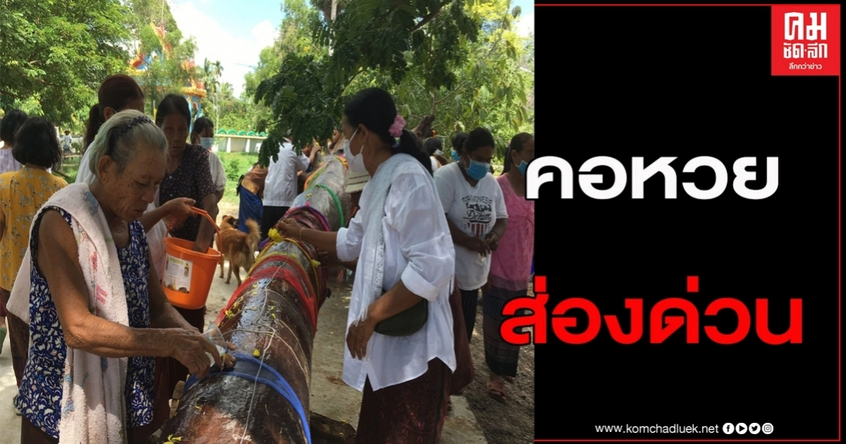 มาแล้วเลขเด็ดครอบครัวตะเคียนท้องแก่ หลังอันเชิญมาประดิษฐานไว้ด้วยกันที่วัดเต่าทอง