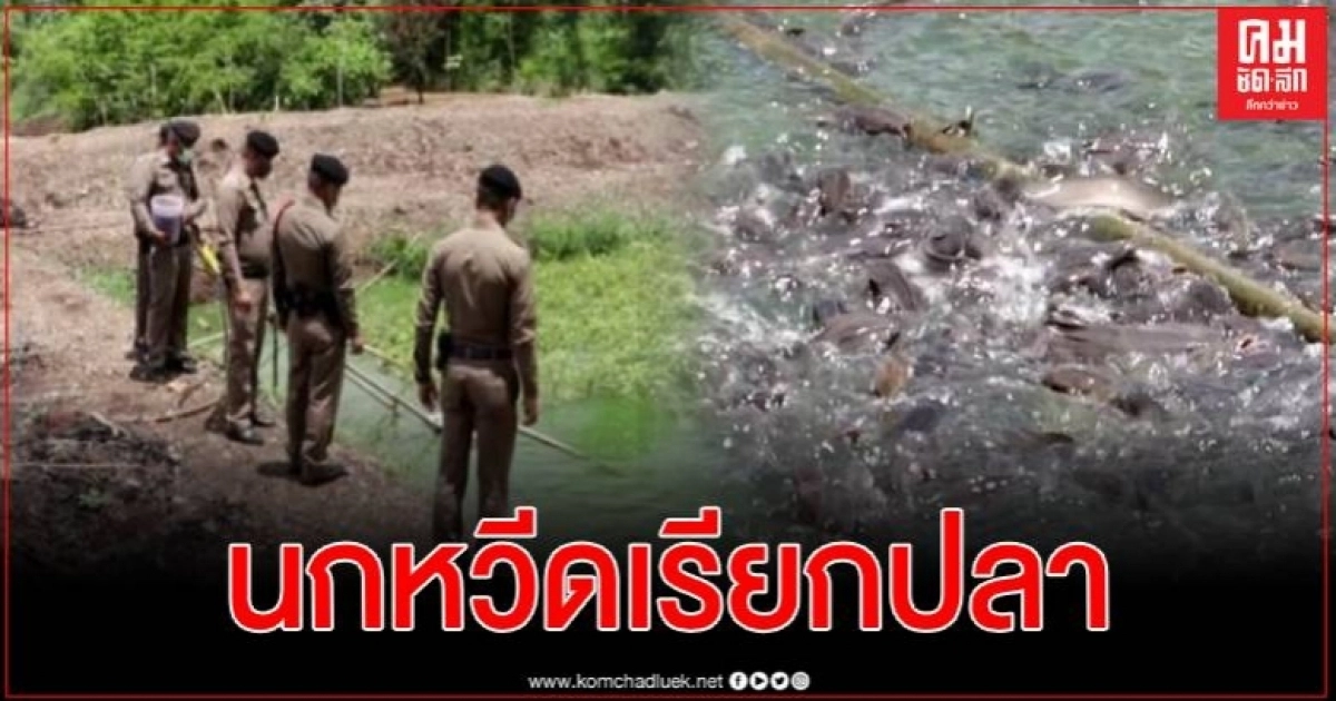 "นกหวีดเรียกปลา" ตำรวจไทยยุคโควิด ปลูกผักสวนครัว เลี้ยงกบ เลี้ยงปลา เพื่อเป็นแบบอย่าง