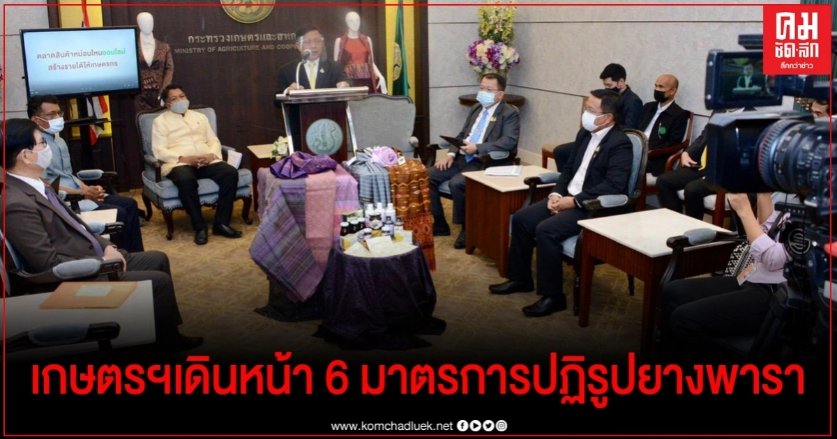 เกษตรฯเดินหน้า 6 มาตรการปฏิรูปยางพารา เกษตรฯเดินหน้า 6 มาตรการปฏิรูปยางพารา
