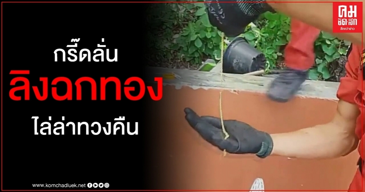สื่อจีนตีข่าว จ๋อจอมแสบ เจ้าถิ่นเขาสามมุขฉกทองสาว กู้ภัยไล่ล่าทวงคืน