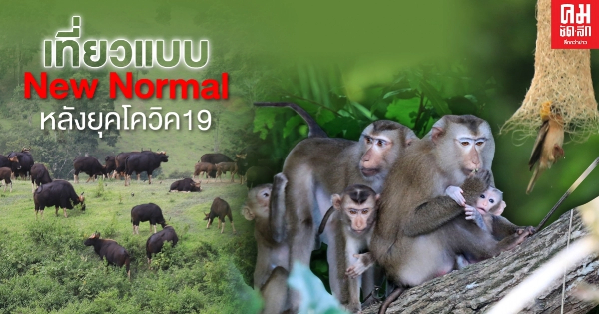 เที่ยวแบบ. New Normal หลังยุคโควิค19 