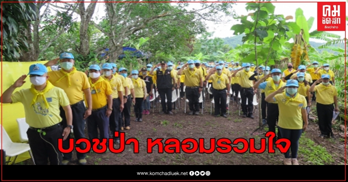 สะเมิงยึดป่าคืนได้กว่า 40 ไร่ ทำพิธีบวชป่าเอาต้นโพธิ์และต้นตองตึงยักษ์เป็นจุดหลอมรวมใจ