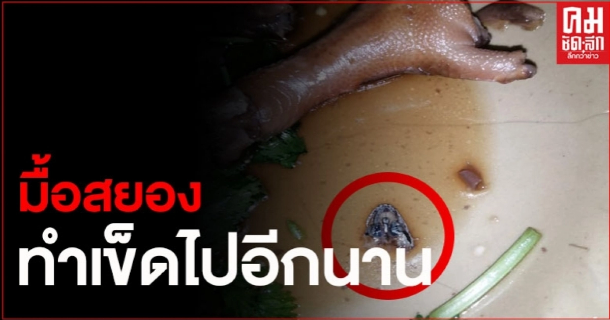 สองสาวกินข้าวรอบดึก ซดต้มซุปเปอร์ใกล้หมดถ้วย เพิ่งเห็นหัวจิ้งจกอยู่ในชาม สองสาวกินข้าวรอบดึก ซดต้มซุปเปอร์ใกล้หมดถ้วย เพิ่งเห็นหัวจิ้งจกอยู่ในชาม