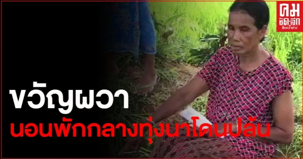 ยายวัย 60 นอนพักกลางทุ่งนาเจอโจรปล้น ใช้ผ้ามัดมือมัดเท้า ยายวัย 60 นอนพักกลางทุ่งนาเจอโจรปล้น ใช้ผ้ามัดมือมัดเท้า