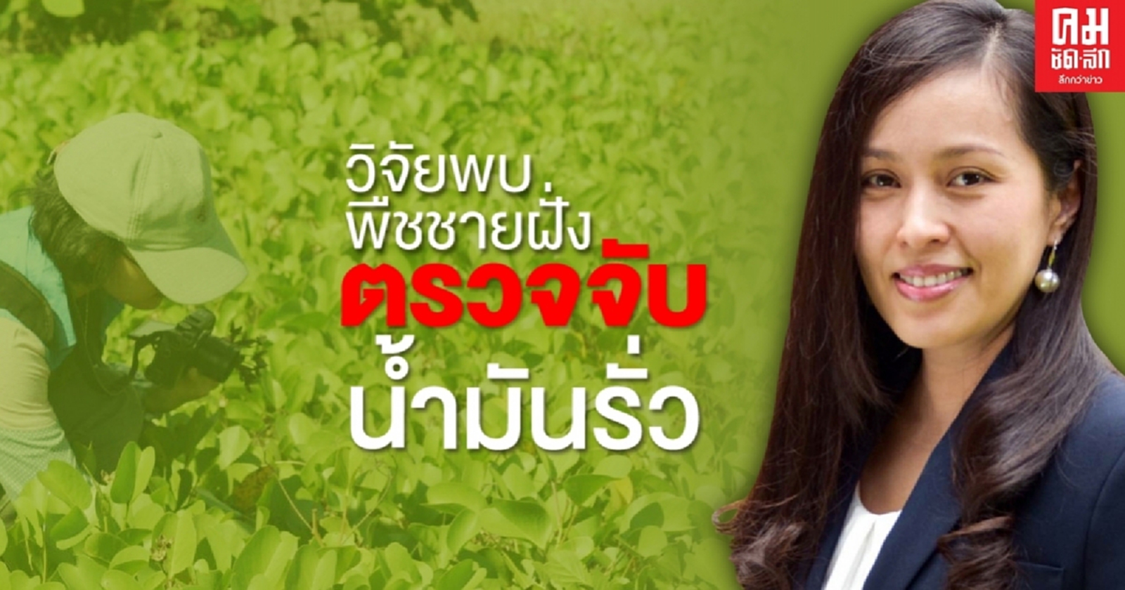 วิจัยพืชชายฝั่งตรวจจับน้ำมันรั่ว เฝ้าระวังระบบนิเวศทางทะเล