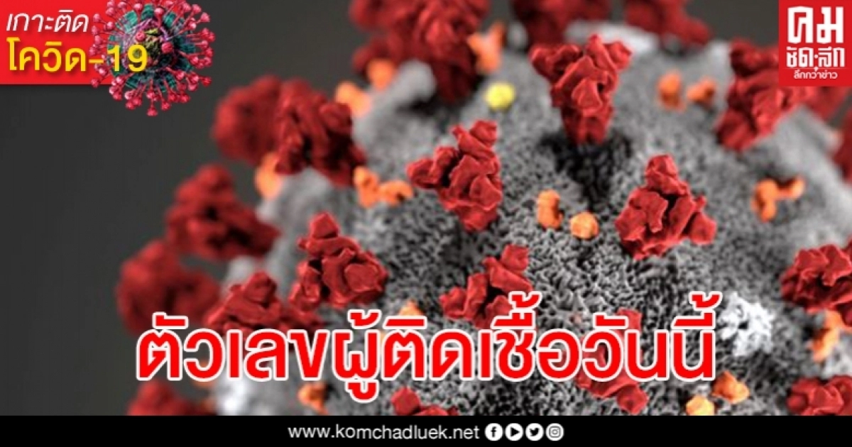 ด่วน ข่าวดีวันนี้ ผู้ติดเชื้อโควิด-19 หายรวดเดียว 13 คน