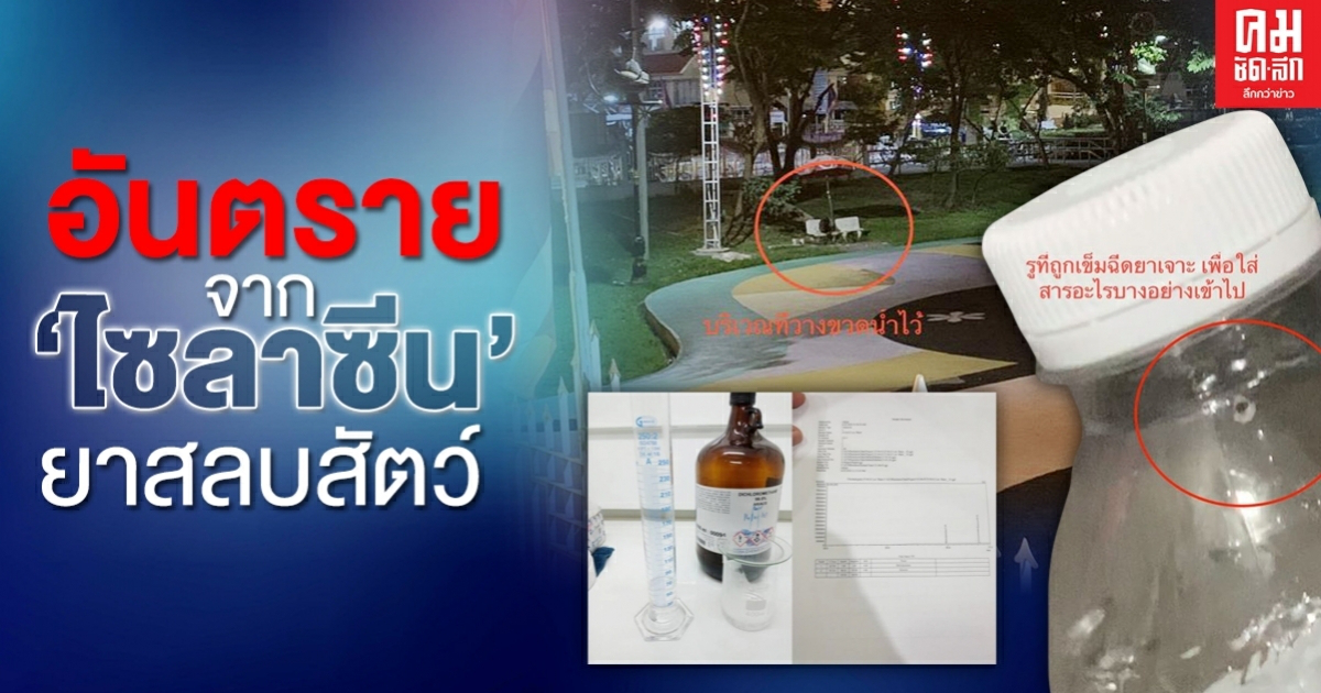 รู้จัก "ไซลาซีน" ยาสลบสำหรับสัตว์ แต่ถูกนำมาใช้ในทางที่ผิด รู้จัก "ไซลาซีน" ยาสลบสำหรับสัตว์ แต่ถูกนำมาใช้ในทางที่ผิด