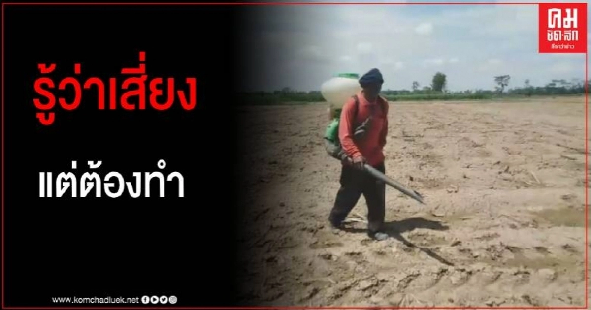 ชาวนาสุโขทัย เสี่ยงหว่านแห้งรอฝน หลังเลยฤดูทำนาปีมาเกือบ 3 เดือน