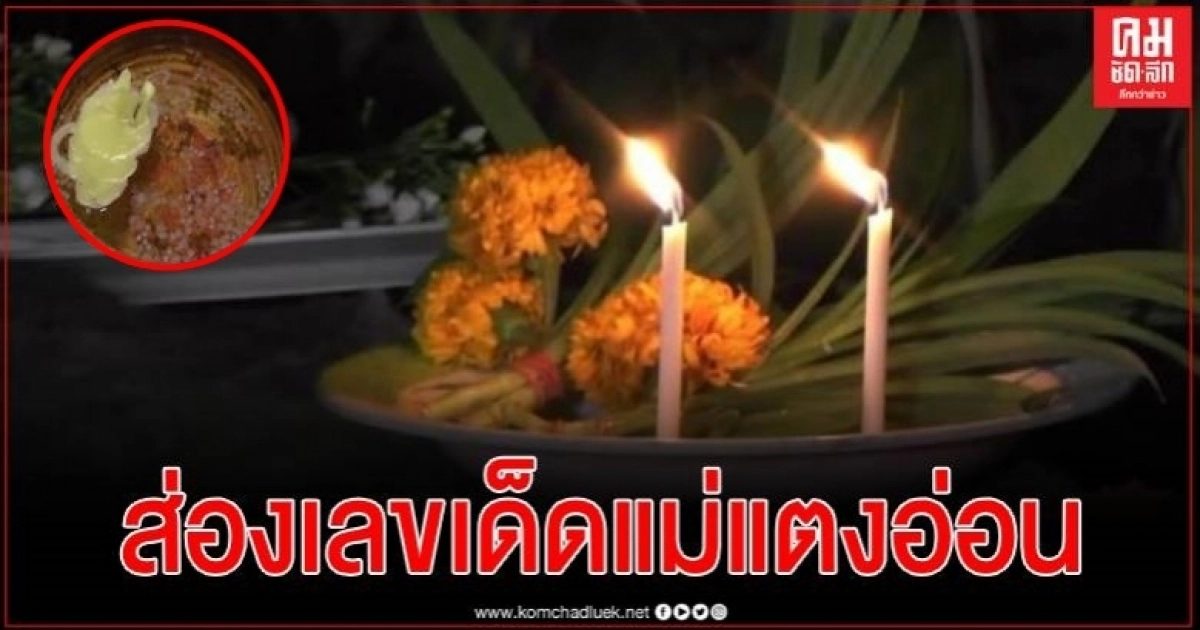 คอหวยไม่พลาดแห่ขอเลขเด็ด ต้นตะเคียนใหญ่ หลังพบขณะขุดสระกลางสวน คอหวยไม่พลาดแห่ขอเลขเด็ด ต้นตะเคียนใหญ่ หลังพบขณะขุดสระกลางสวน