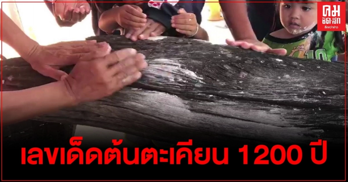 โค้งสุดท้าย ชาวบ้านโคราชแห่ขอเลขเด็ดต้นตะเคียน 1200 ปี โค้งสุดท้าย ชาวบ้านโคราชแห่ขอเลขเด็ดต้นตะเคียน 1200 ปี