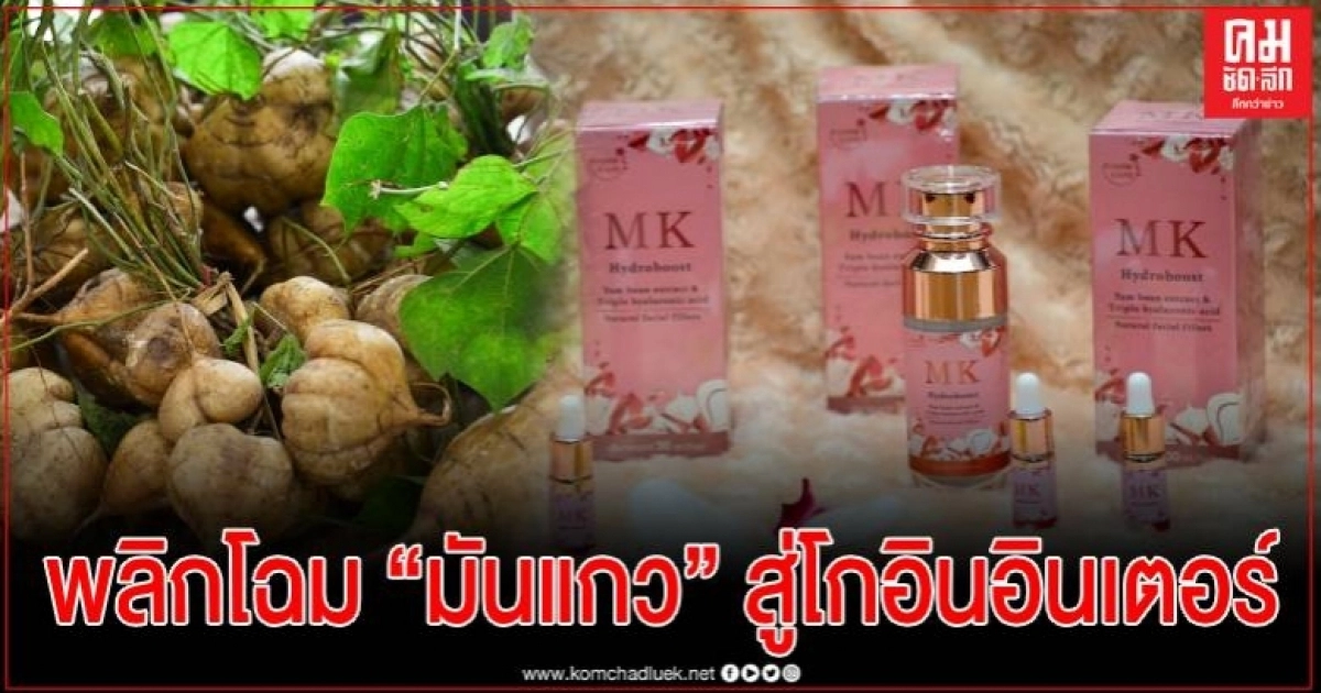 ม.มหาสารคาม เปิดตัวผลิตภัณฑ์ "เซรั่มมันแกว" (MK Serum) จากผลงานวิจัย ม.มหาสารคาม เปิดตัวผลิตภัณฑ์ "เซรั่มมันแกว" (MK Serum) จากผลงานวิจัย
