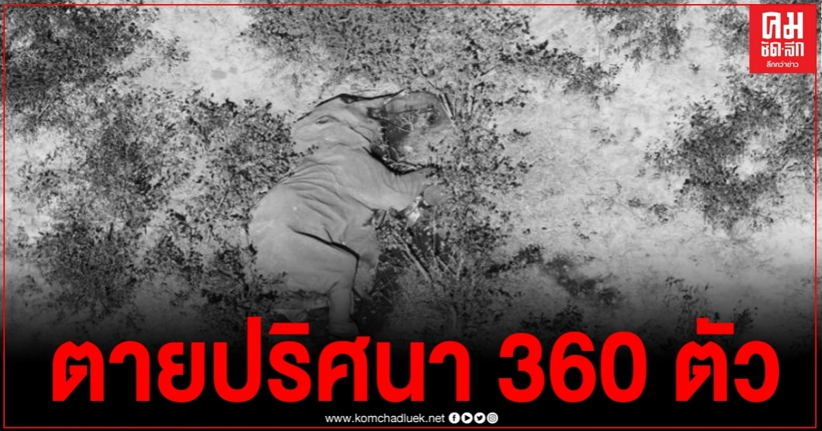 พบช้างป่ากว่า 360 ตัว ตายเกลื่อนบอตสวานา เห็นภาพแล้วน่าสงสารจับใจ พบช้างป่ากว่า 360 ตัว ตายเกลื่อนบอตสวานา เห็นภาพแล้วน่าสงสารจับใจ