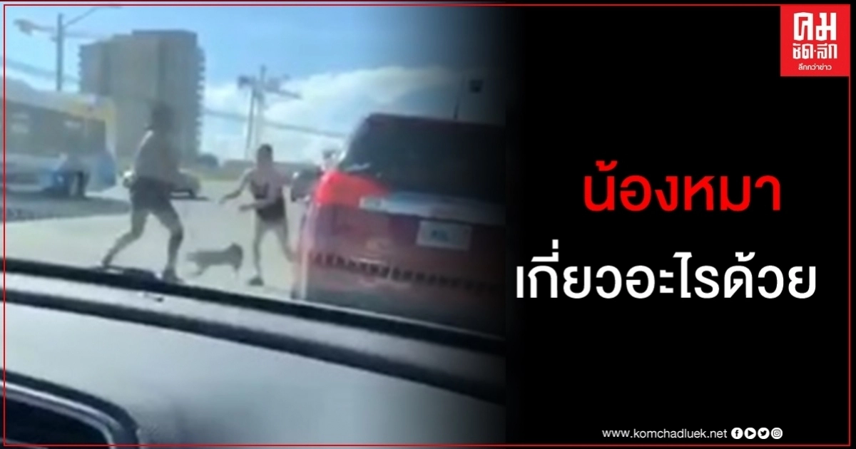 คนรักสัตว์ดูแล้วเดือด สตรีในแคนาดาใช้สุนัขเป็นอาวุธเหวี่ยงใส่เจ้าของขณะทะเลาะกัน คนรักสัตว์ดูแล้วเดือด สตรีในแคนาดาใช้สุนัขเป็นอาวุธเหวี่ยงใส่เจ้าของขณะทะเลาะกัน