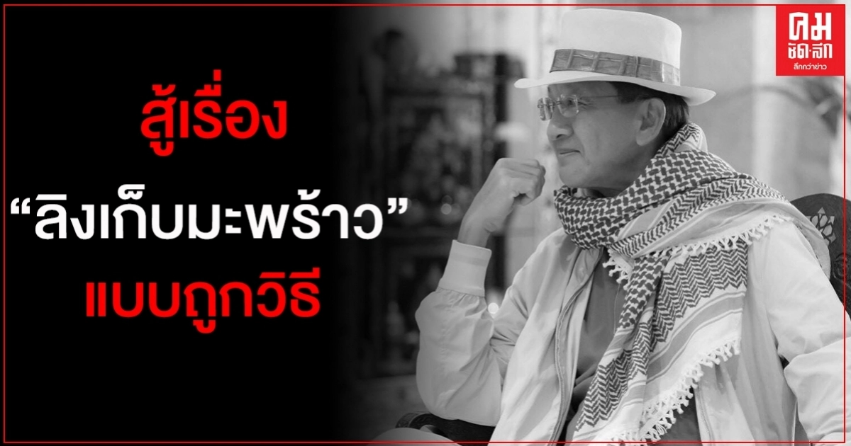 "ธีระชัย" โพสต์แนะ "สู้เรื่องลิงเก็บมะพร้าวแบบถูกวิธี"
