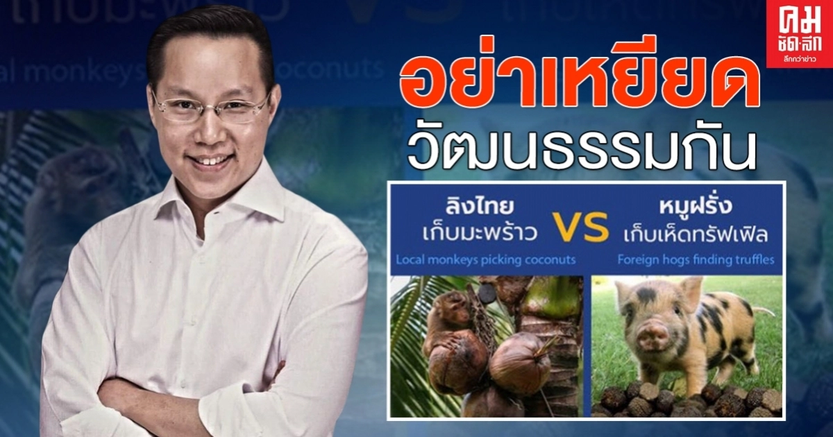 เลขาฯพรรคกล้า ชี้ชัดลิงไทย หมูฝรั่ง ไม่ต่างกัน วอนอย่าเหยียด เลขาฯพรรคกล้า ชี้ชัดลิงไทย หมูฝรั่ง ไม่ต่างกัน วอนอย่าเหยียด